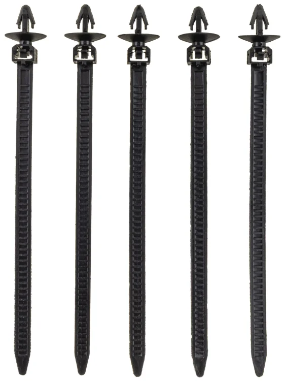 IMG_1004a.jpg